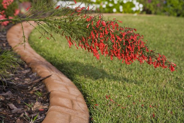 Brick Edging in Stamford