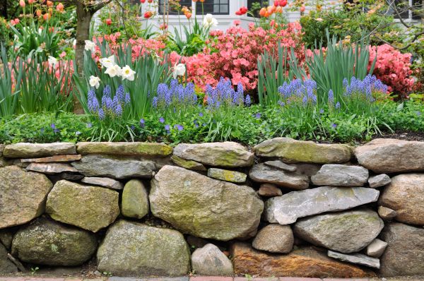 Stone Wall Hardscaping in Stamford