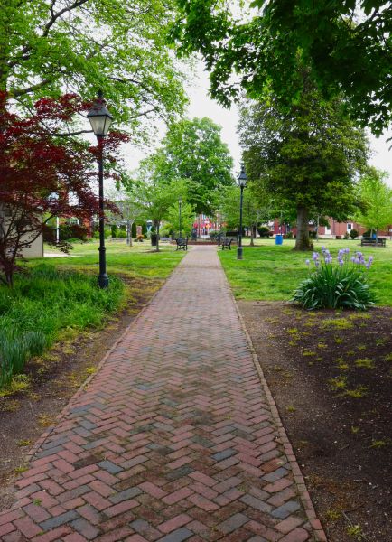 Brick Pathway Repair in Stamford