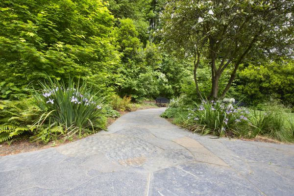 Stone Hardscape Service in Stamford