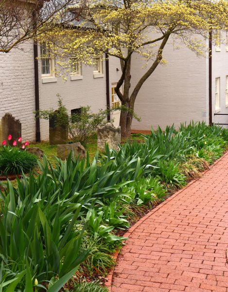 Brick Flatwork Repair in Stamford